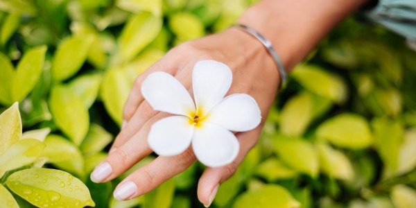 Esencias de Casa del Monoï: cómo elegir la tuya