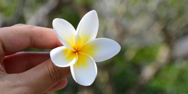 ¿Sabías que todos los envases de Tiki Tahití, contienen una flor de Tiare en su interior?